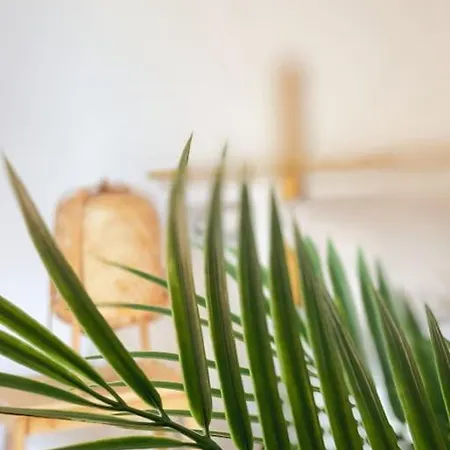 Apartamento Casa Bamboo Luminoso Y Espacioso, Piscina *