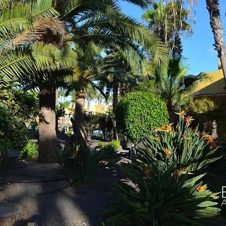 Apartamento B-rent Eva's Atlantic Corralejo