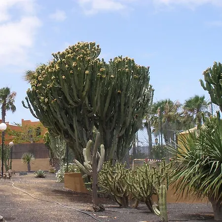 Oasis Dunas 3* Corralejo