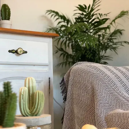 Cactus Apartamento *